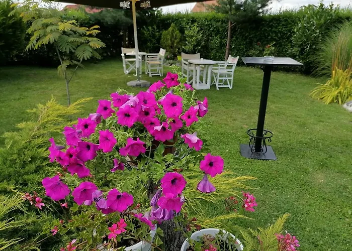 Ranc Terzic Seosko Turisticko Domacinstvo Čačak