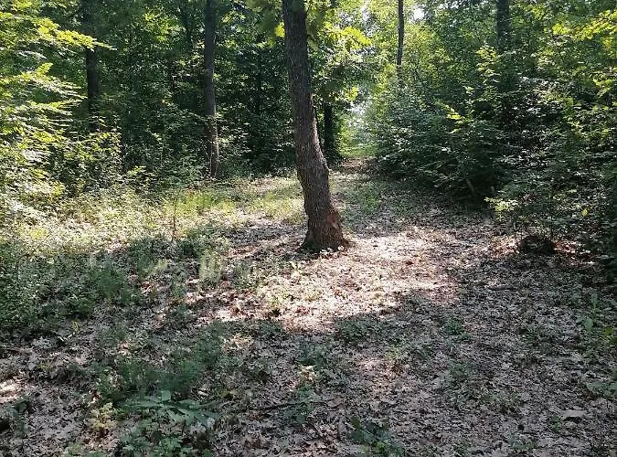 Ranc Terzic Seosko Turisticko Domacinstvo 펜션 Čačak