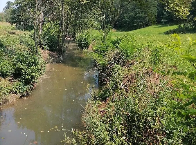 Ranc Terzic Seosko Turisticko Domacinstvo 펜션 Čačak